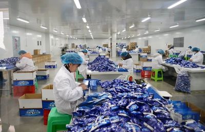 路斌實地調(diào)研督導科技有限公司復產(chǎn)復工情況